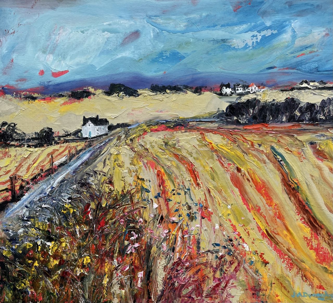 rhosneigr near the Oyster catcher