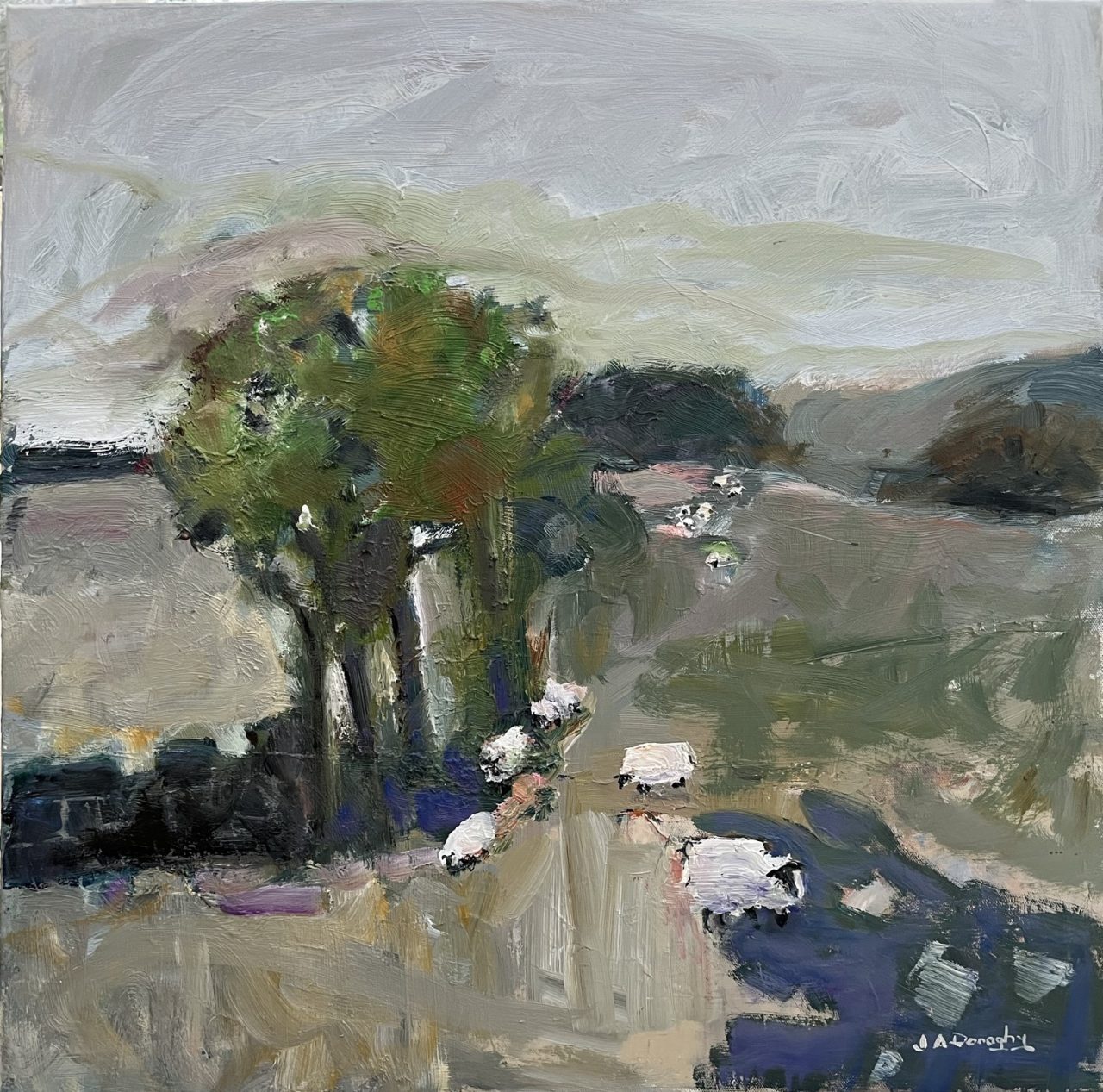 sheep in the meadows